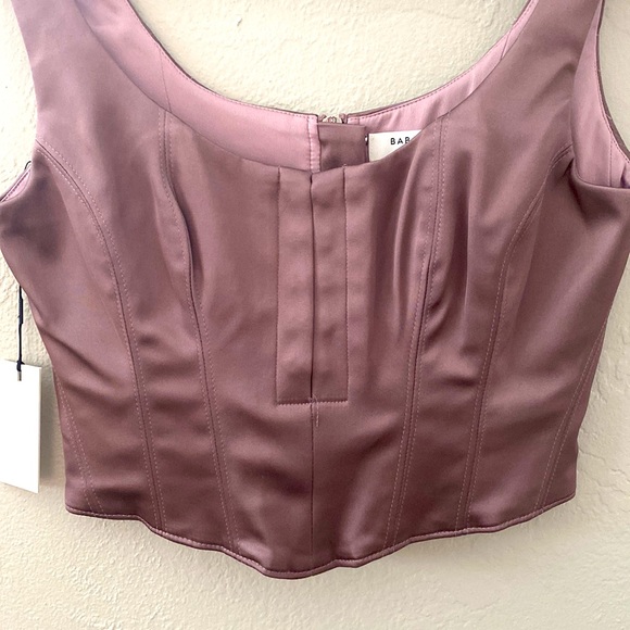 Aritzia Babaton Bustier - Picture 2 of 6